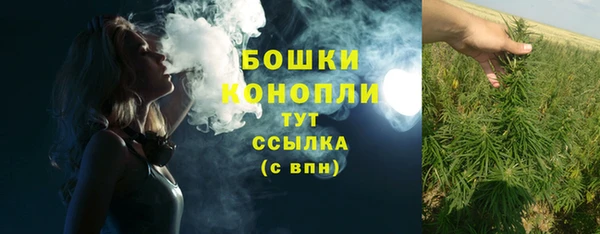 шишки Белокуриха