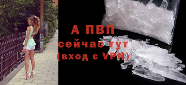 стафф Беломорск