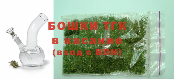 шишки Белокуриха