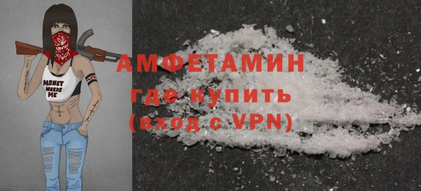шишки Белокуриха