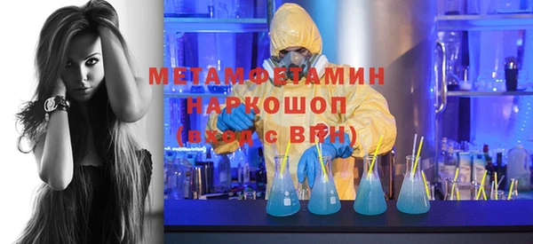шишки Белокуриха
