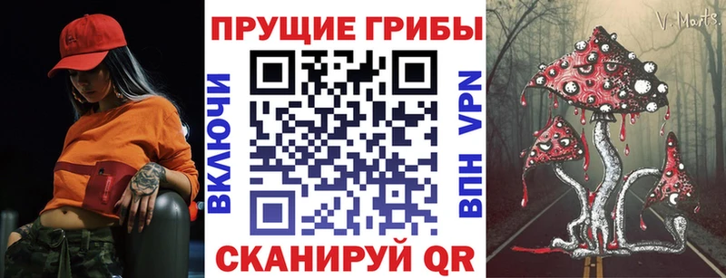 как найти наркотики Дубна Псилоцибиновые грибы GOLDEN TEACHER